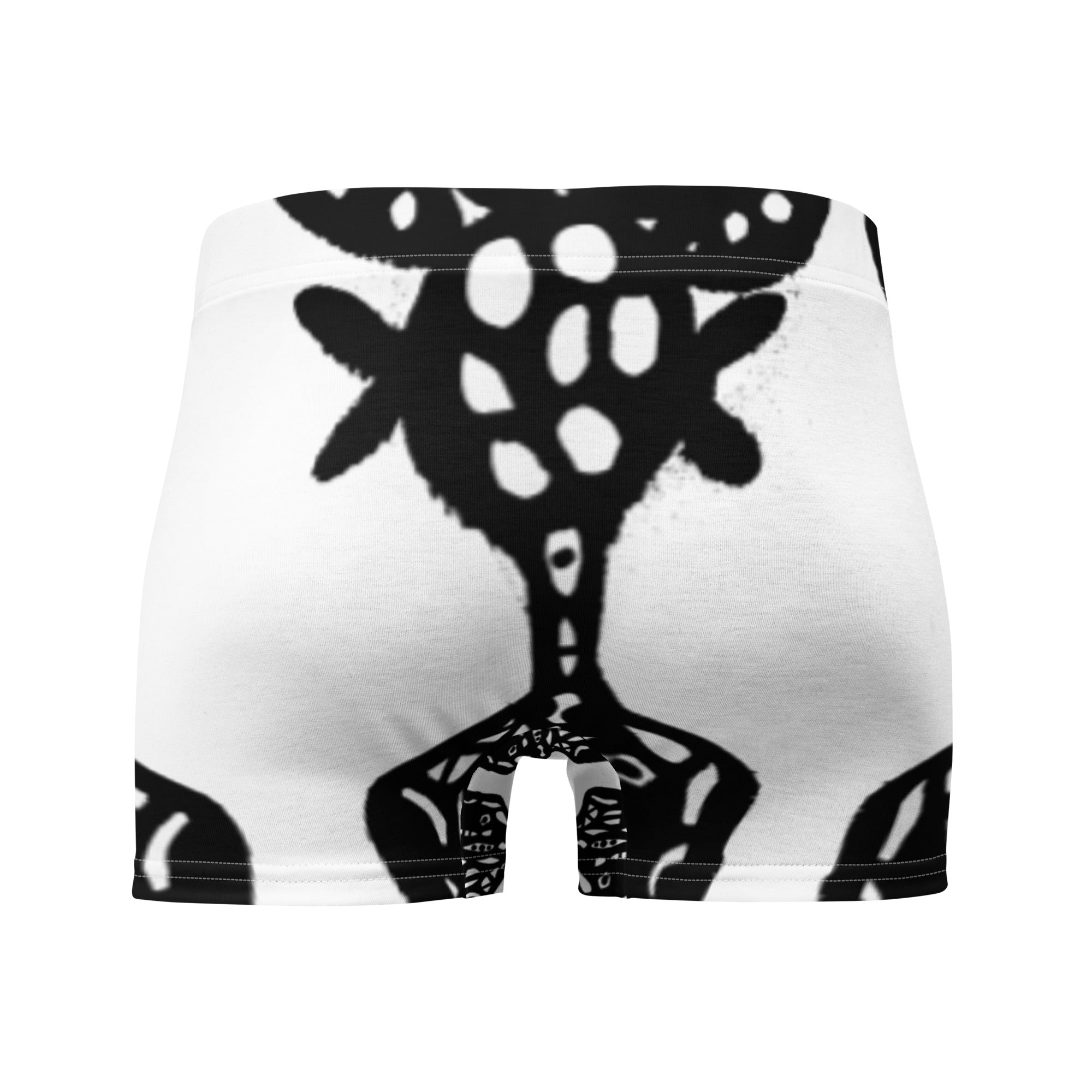 RBN "Rorshach #2" Briefs